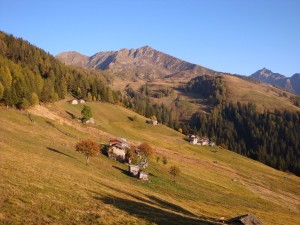 alpe piazza 2009 410